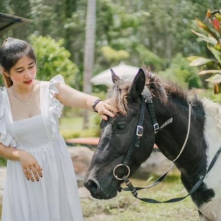 Raina Bualuang Cafe & Farm Stay Ban Na No Exterior photo