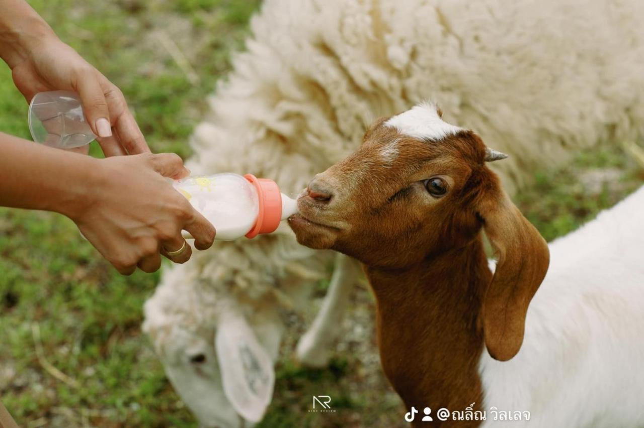 Raina Bualuang Cafe & Farm Stay Ban Na No Exterior photo